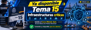 Tema 15_ Infraestructuras críticas.png