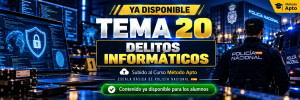 Tema 20_ Delitos informáticos (1).png